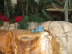 059 Jardin intérieur Mirage